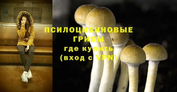 спиды Абинск