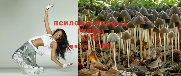 амф Абдулино