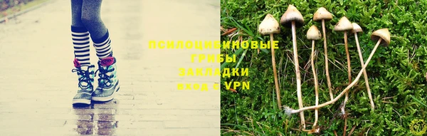 твердый Алексин