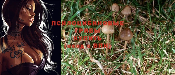 амф Абдулино