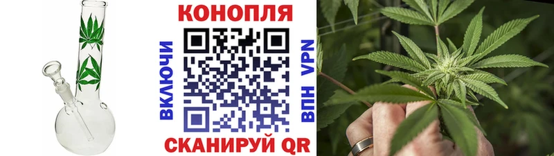Конопля план сколько стоит Красноармейск